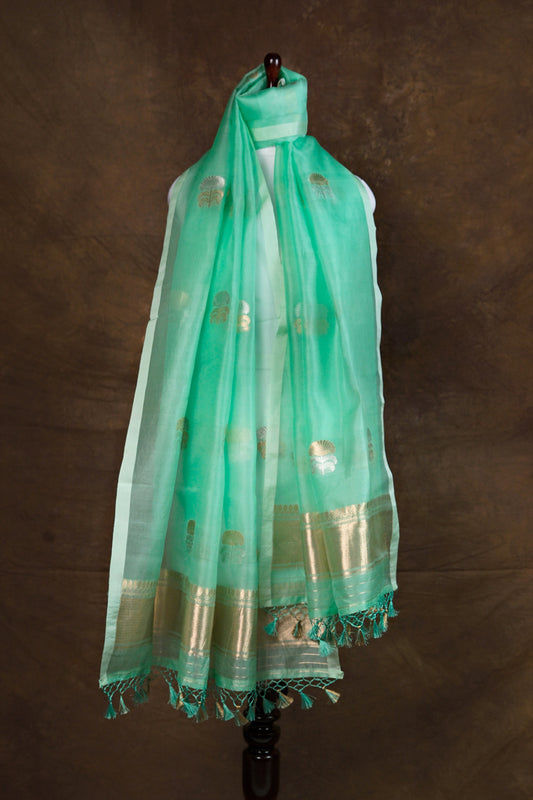 Narm Rang Dupatta | Handwoven Banarasi Silk Dupatta