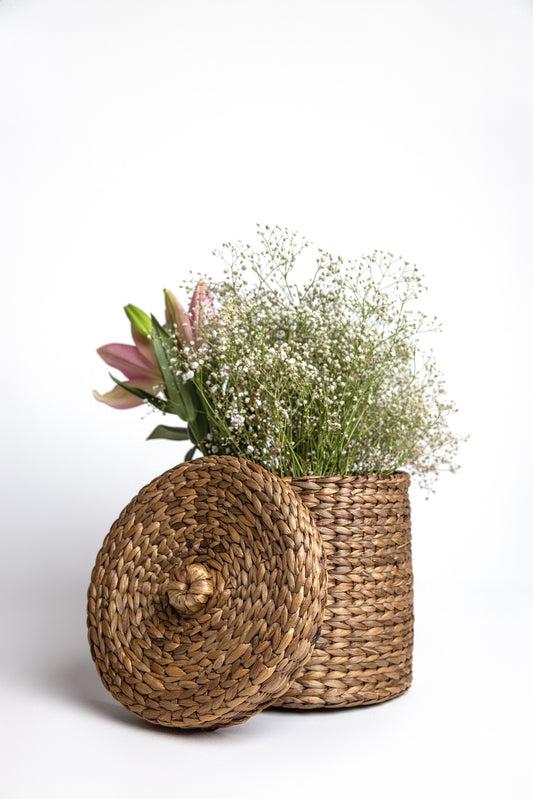 Willow Vault
